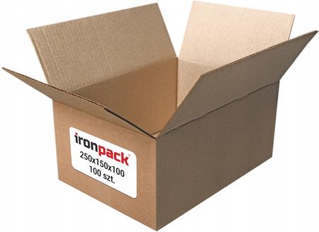 Ironpack Karton 250X150X100mm Pudełko Karton Klapowy 100Szt