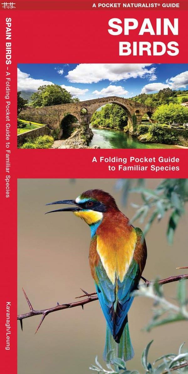 Spain Birds: A Folding Pocket Guide to Familiar Species (Pocket ...