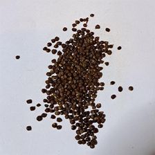 Zdjęcie Pieprz melegueta aframon madagaskarski 1 kg - Parczew