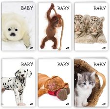 Zdjęcie Zeszyt A5 32K Linia Maluchy Miękka Oprawa Max P20 - Dolsk