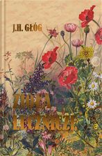 Zdjęcie Zioła lecznicze - Ożarów Mazowiecki