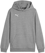 Zdjęcie Puma Bluza dla dzieci Puma Team Goal Casuals Hoddy szara 658619 33 - Nowe Brzesko