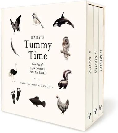 洋書 The Astrological Neptune and the Quest The Astrological Neptune and the Quest for Redemption