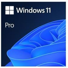 Zdjęcie Microsoft Windows 11 Pro ENG 64bit OEM FQC-10528 (FQC10528) - Góra Kalwaria