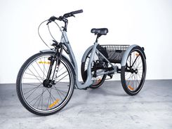 Zdjęcie Liw Care Hop Trikes Trójkołowy Szary 26 - Przeworsk