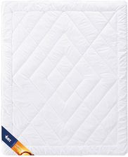 Zdjęcie Amz Kołdra Antystres Active 155X200 Całoroczna - Opoczno