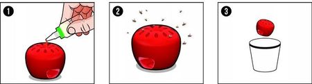 No-Pest Pułapka Na Muszki Owocówki Fruit Fly Trap No Pest + Wabik 15ml 3Szt. - zdjęcie 5