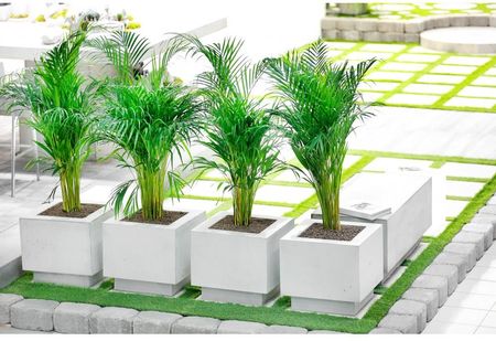 Jadar Donica Duża Ogrodowa Parkowa Combo 81X81X59cm Z Betonu Comboxxl - zdjęcie 6