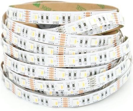 Led Studio Taśma Led 300 Smd 19W/Metr Dc12V Rgb+W Kolorowa Rgb + Zimna 6000K Pro Rolka 5m