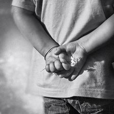 Zdjęcie Produkt z Outletu: KARNET UNIWERSALNY + KOPERTA Książki , zabawki - Poznań