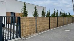 Zdjęcie Mata Osłonowa Trzcina 180X600cm - Warka