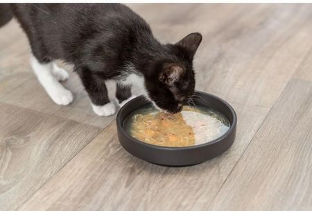 Trixie Salmon Soup Przysmak Dla Kota Kurczak I Łosoś 80g - zdjęcie 4