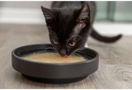 Trixie Salmon Soup Przysmak Dla Kota Kurczak I Łosoś 80g - zdjęcie 2