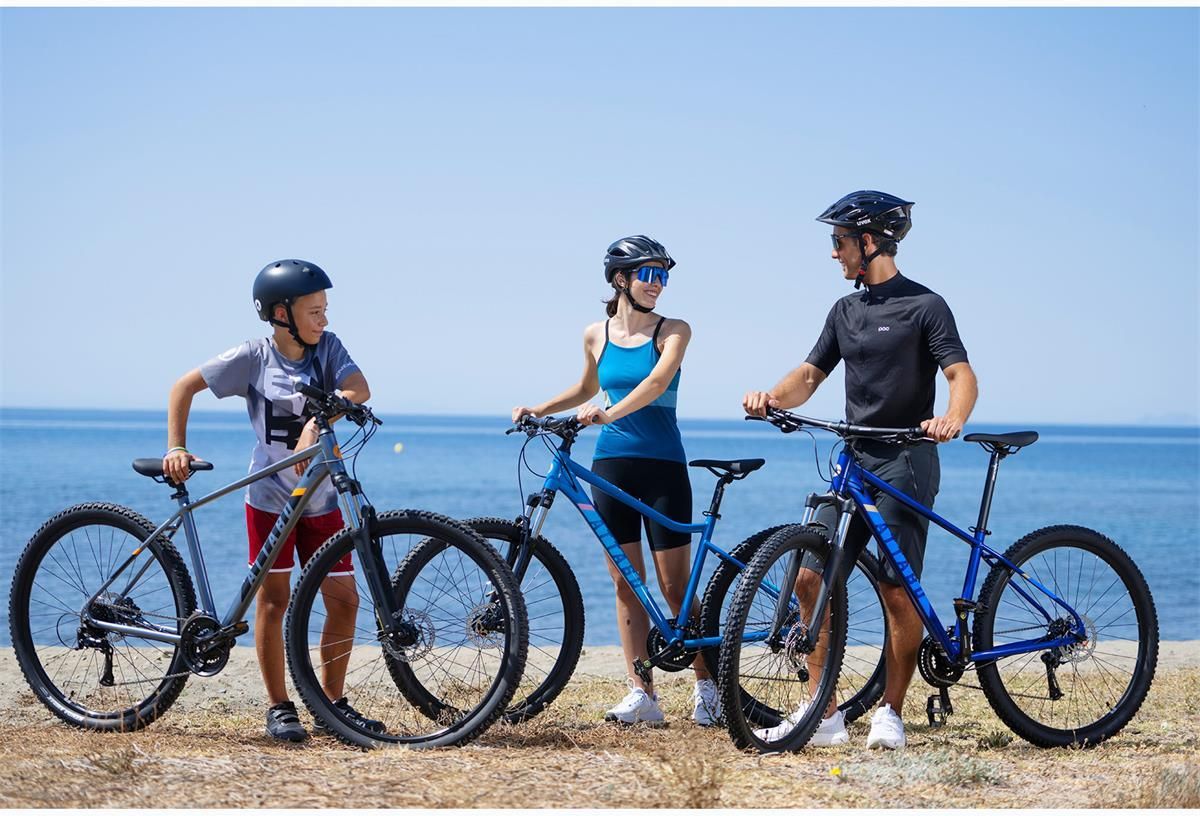 фото Велосипед гірський (MTB) Attabo ALPE 3.0 29 2022 Blue