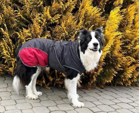 Hunter Coat Uppsala Cozy 35cm Anthracite Red - zdjęcie 4