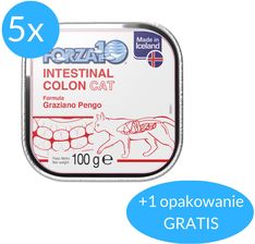 Forza10 Intestinal Colon Actiwet dla kota 5x100g + 100g GRATIS! (600g) : waga - 6 x 100g DOSTAWA 24h GRATIS od 99zł