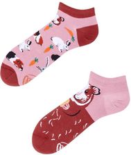 Zdjęcie SKARPETY KOLOROWE STOPKI MISS GUINEA PIG LOW ROZMIAR 43-46 - Grodzisk Wielkopolski