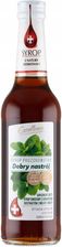 Excellence Syrop Owocowy Z Dodatkiem Ekstraktów Melisy I Mięty Dobry Nastrój Suplement Diety 320ml
