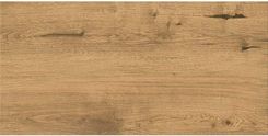 Zdjęcie Cersanit Timberfox Brown Mat. 30x60 - Mikołajki