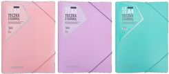 Zdjęcie Teczka Z Gumką Pp Pastel Mix Astrapap - Pobiedziska