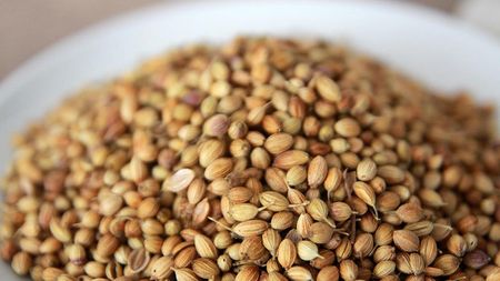 Kolendra cała 500 g - zdjęcie 2