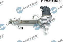 Zdjęcie Dr.Motor Automotive Zawór Egr DRM611104SL - Jordanów