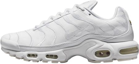 Buty męskie NIKE AIR MAX PLUS (AJ2029 100)