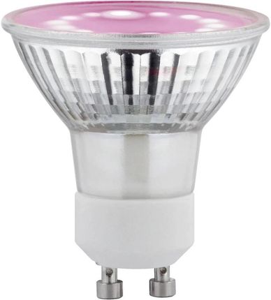 Paulmann Źródło Światła Prowzrostowe Led Plant Gu10 3,5W 95Lm 1100K 230V Szkło (256472608)