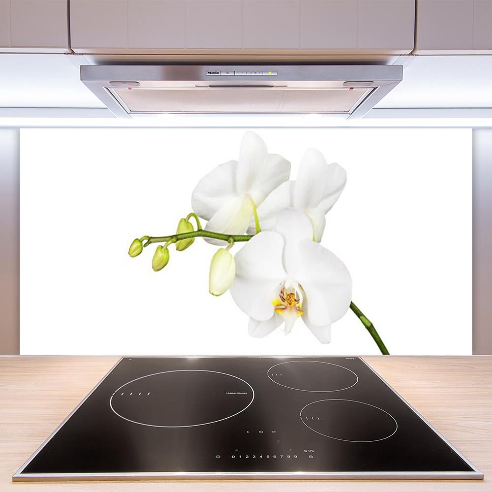 67 PER PANEEL - 120x280x0,3 cm - PVC Wandpaneel Ceasar Black