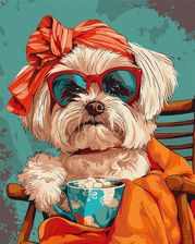 Zdjęcie Malowanie Po Numerach Stylowy Shih Tzu 40X50cm - Słomniki