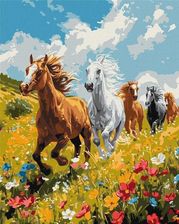 Zdjęcie Malowanie Po Numerach Polowa Harmonia 40X50cm - Żnin