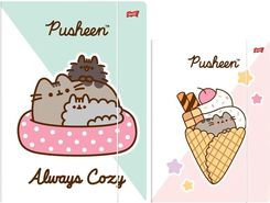 Zdjęcie Teczka Z Gumką A4 300G/M Pusheen - Kisielice