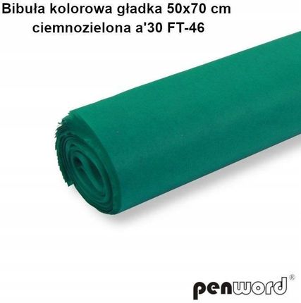 Zielona Bibuła Gładka Do Pakowania 50X70 30Szt.