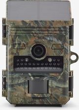 Zdjęcie Num Axes Fotopułapka Pie 1069 5331766 - Małomice