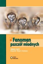 Zdjęcie Fenomen Pszczół miodnych - Miasteczko Śląskie