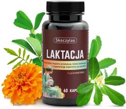 Zdjęcie Laktacja Dla Kobiet Karmiących - Żyrardów