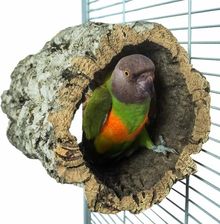 Parrot Planet Naturalna Żerdź Lub Jaskinia Z Kory Dębu Korkowego Rozmiar M Dla Średnich Papug