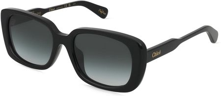 Chloé CH0225SK Damskie okulary przeciwsłoneczne, Oprawka: Recycled Acetat, czarny