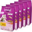 POLECANY SKLEP ✰ Whiskas Junior 5x1,4kg - Sucha Karma Pełnoporcjowa Dla Kociąt Z Pysznym Kurczakiem ✰ SZYBKA DOSTAWA