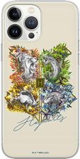 Ert Group Etui Do Apple Iphone 14 Pro Max Harry Potter 040 Nadruk Pełny Szary
