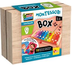 Zdjęcie Dante Lisciani Montessori box Słuch 105489 - Jordanów