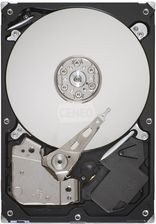Seagate Barracuda 7200.11 1TB 3,5