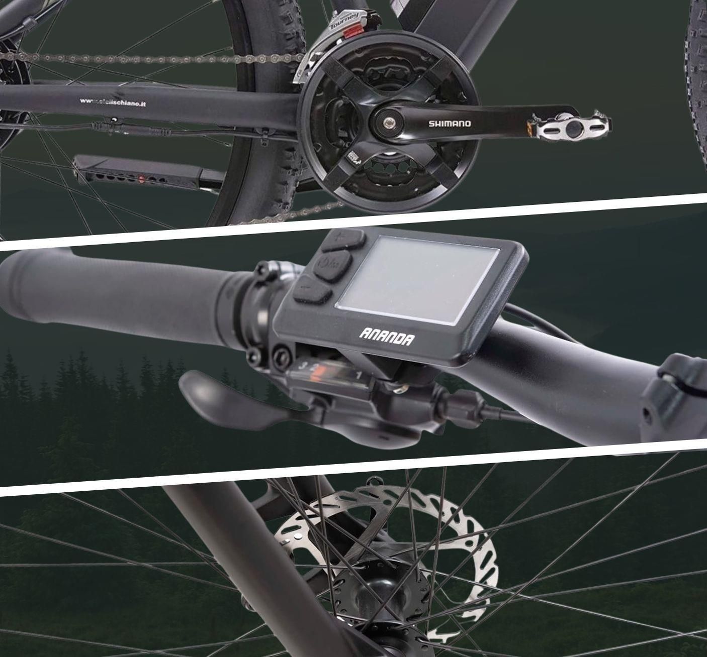 Adulto Bicicleta Eléctrica Schiano E-Mercury MTB 29