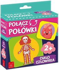 Zdjęcie Kangur Połącz Połówki Ciało Człowieka - Gdańsk