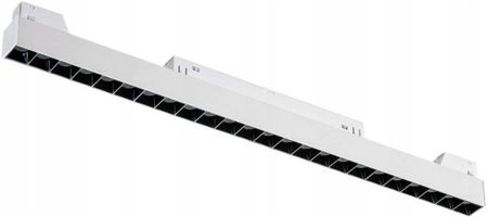 Dpm M-Line Lampa Do Szynoprzewodów Biały (Mtlspl24Ww)