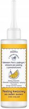 Zdjęcie JOANNA Z Apteczki Babuni Peeling kwasowy do skóry głowy, 150ml - Świnoujście