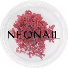 Zdjęcie Ozdoba do paznokci kwiaty Red 08 Neonail - Krobia