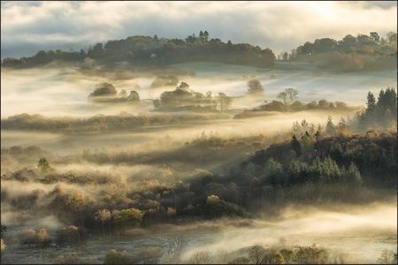 Muralo Fototapeta Krajobraz Z Widokiem Na Zamglony Las Pejzaż Na Egzotyczną Roślinność Tapeta Ścienna 3D 416x254cm