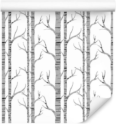 Muralo Tapeta Dekoracja Ścienna Abstrakcyjna Brzozy Drzewa Idealne Do Salonu Z Efektem 3D