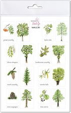 Zdjęcie Mama Maluje Naklejki Drzewa 2 - Zwierzyniec